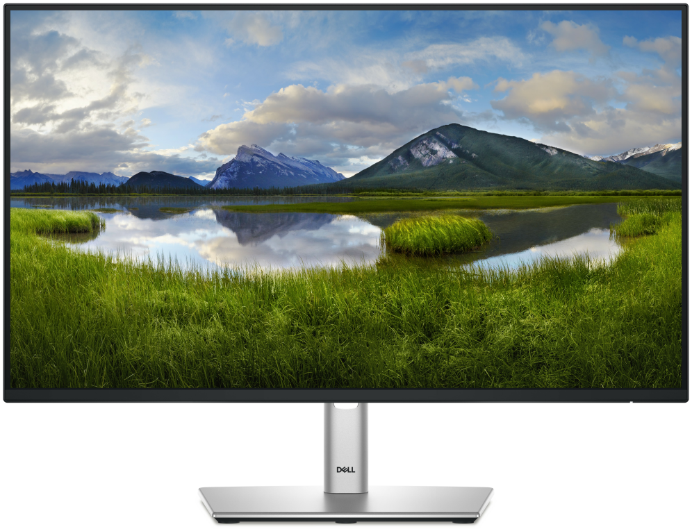 DELL Pro Plus P2425H pantalla para PC 60,5 cm (23.8") 1920 x 1080 Pixeles Full HD LCD Negro